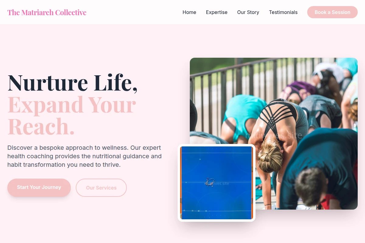 Velvet Health Coach
